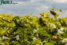 1agro.com.ua