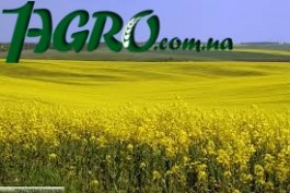 1agro.com.ua