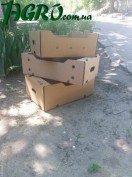 1agro.com.ua