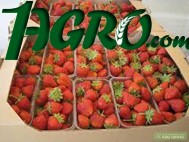 1agro.com.ua