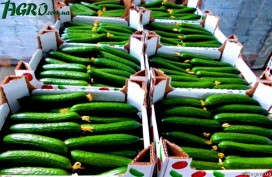 1agro.com.ua