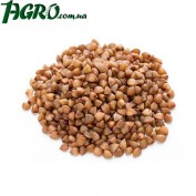 1agro.com.ua