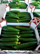1agro.com.ua
