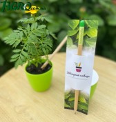 1agro.com.ua