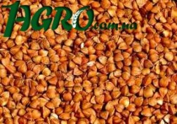 1agro.com.ua