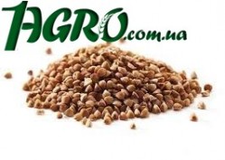 1agro.com.ua