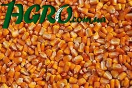1agro.com.ua
