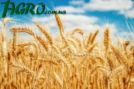 1agro.com.ua