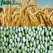 1agro.com.ua
