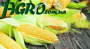 1agro.com.ua