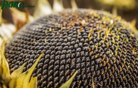 1agro.com.ua