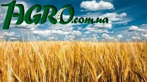 1agro.com.ua