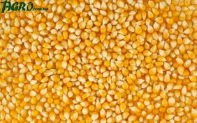 1agro.com.ua