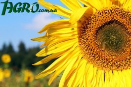 1agro.com.ua