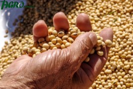 1agro.com.ua