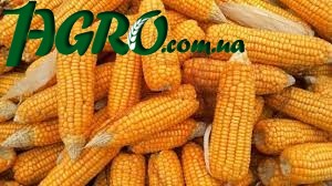 1agro.com.ua