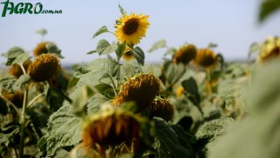 1agro.com.ua