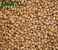 1agro.com.ua