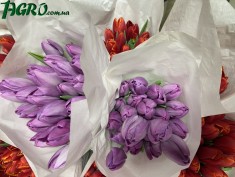 1agro.com.ua