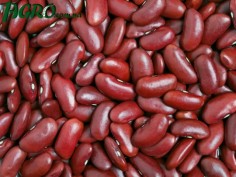 1agro.com.ua