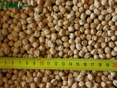 1agro.com.ua