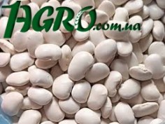 1agro.com.ua