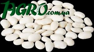 1agro.com.ua