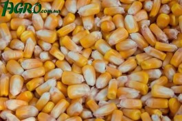 1agro.com.ua