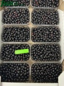 1agro.com.ua