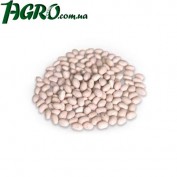 1agro.com.ua