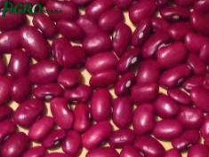 1agro.com.ua