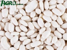 1agro.com.ua