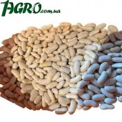 1agro.com.ua