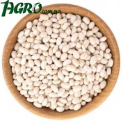 1agro.com.ua