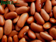 1agro.com.ua
