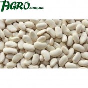 1agro.com.ua
