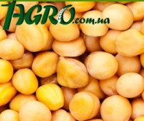 1agro.com.ua