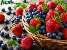1agro.com.ua