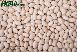 1agro.com.ua