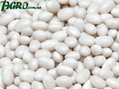 1agro.com.ua
