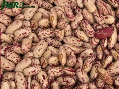 1agro.com.ua