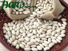 1agro.com.ua