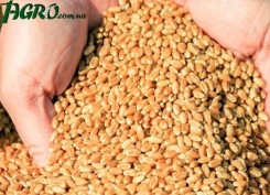 1agro.com.ua