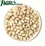 1agro.com.ua