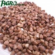 1agro.com.ua