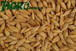 1agro.com.ua