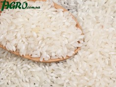 1agro.com.ua