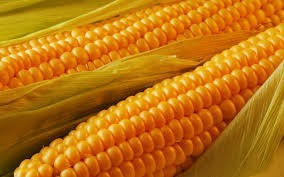 1agro.com.ua