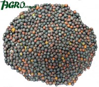 1agro.com.ua