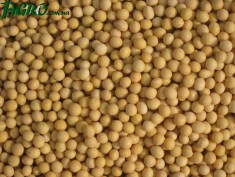 1agro.com.ua